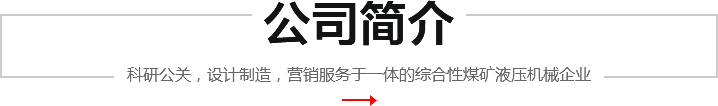 公司简介